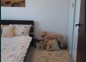 2 Camere - 52MP | Creditabil | M Gorjului - 5 minute - Poză 6