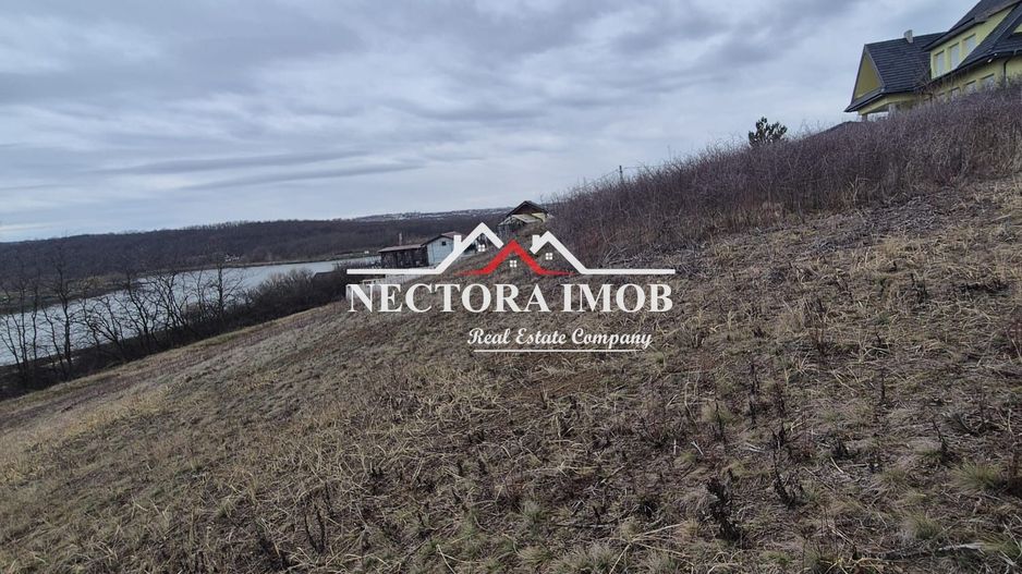 NECTORA IMOB-Teren Intravilan Zona Paleu, 589 mp, Vedere LAC,Utilitati - Poză 3