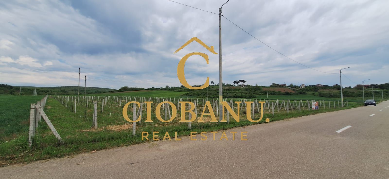 Teren intravilan cu PLANTATIE DE GOJII de vanzare in Racari - Poză 18