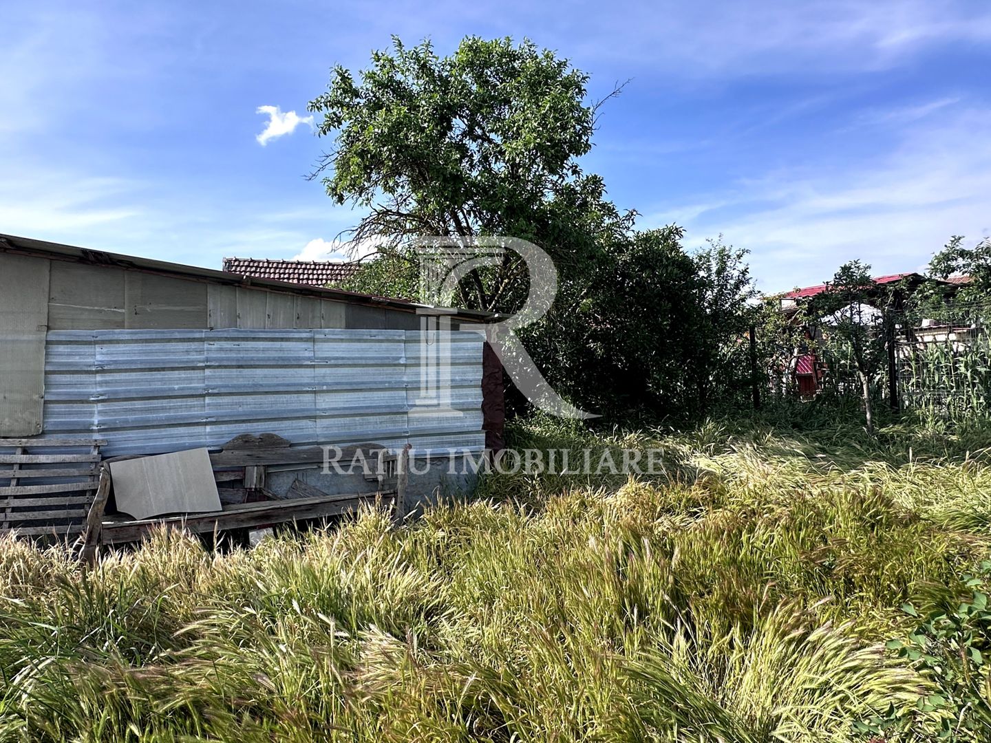Casa cu anexe si pivniță | Teren intravilan generos | Sannicolau Roman - Poză 29