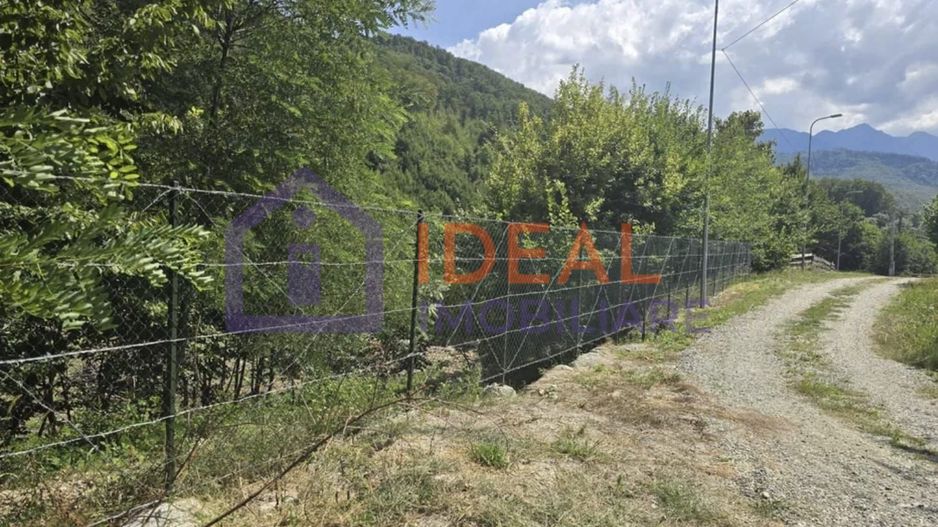 Teren extravilan 2.300 mp – Cârțișoara, județul Sibiu - Poză 5