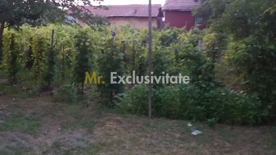 Casă individuală cu 4 camere în Burila Mare, jud. Mehedinți - Poză 41