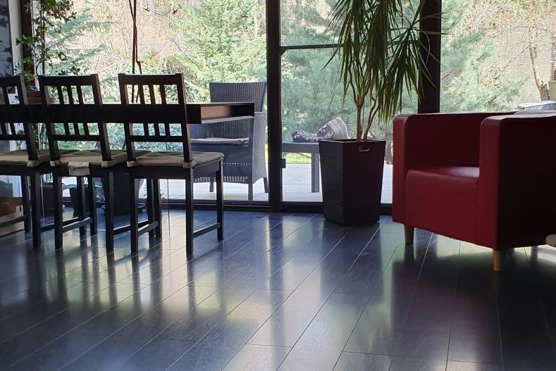 Vanzare vila 5 camere | Langa padure | Bucuresti | Baneasa - Poză 4