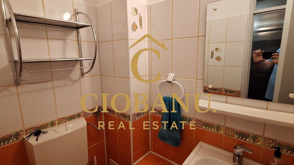 Apartament 3 camere DECOMANDAT etaj 2/4 de vanzare zona Lapus Arges - Poză 10