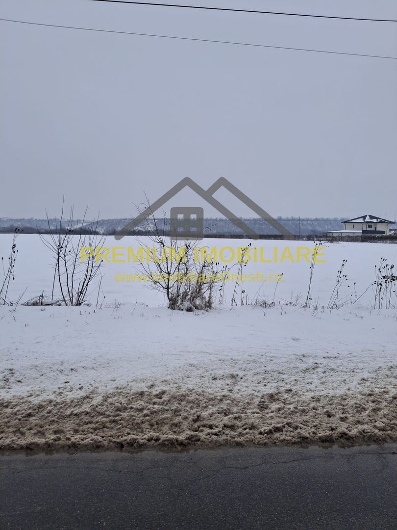 Teren de vânzare – Zona Andrășești – 16.000 mp - Poză 1