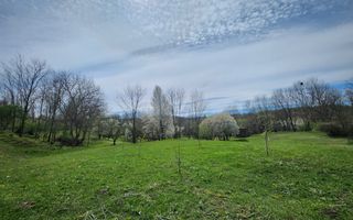 De vanzare casa 6 camere 8142 mp teren in Oarda de Sus - Poză 30