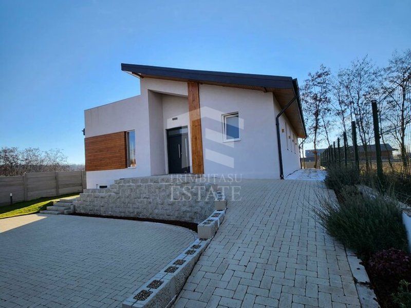 Vila individuala Snagov Tancabesti padure - Poză 2