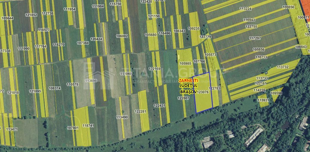 Teren intravilan, 7838 mp, cu priveliște superbă spre munți – Zărnești - Poză 11