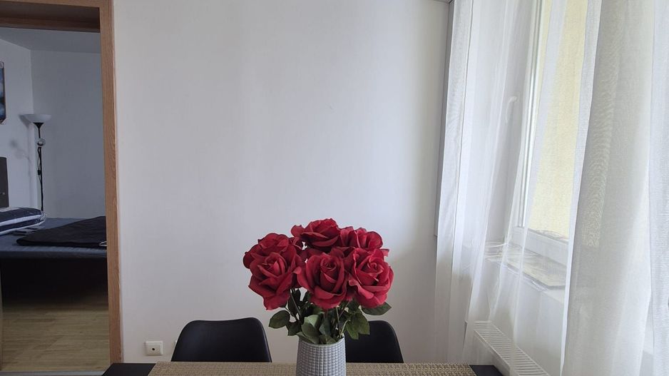 AP. 2 CAMERE LACUL MORII, BLOC NOU, CENTRALA, MOBILAT/UTILAT MODERN - Poză 6