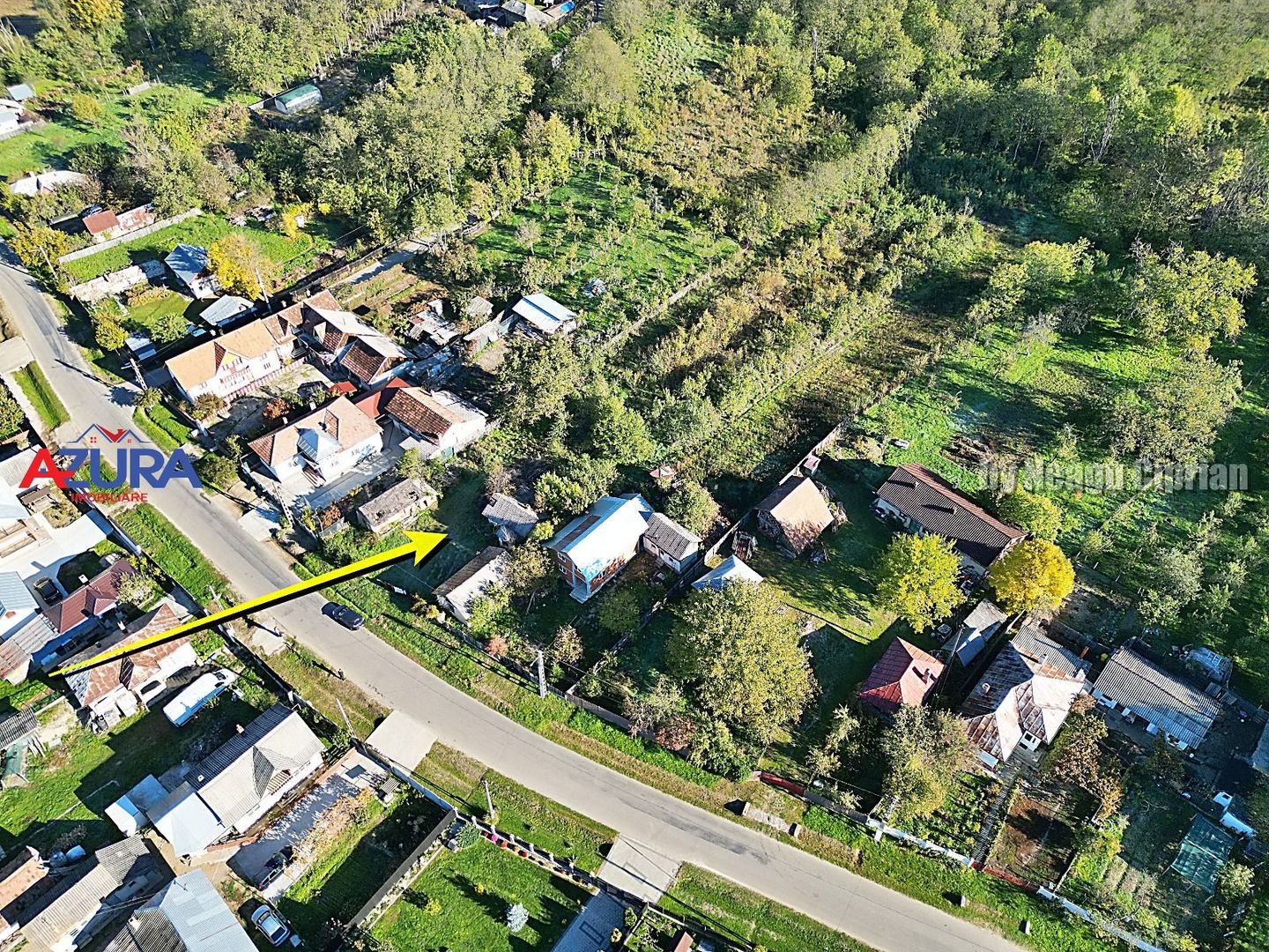 Vanzare teren 3300 mp, intravilan, Albota - Mares - Poză 5