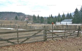 VALEA DOFTANEI - Traisteni, langa Conacul Dascalu, vanzare 2.537 mp. teren - Poză 16