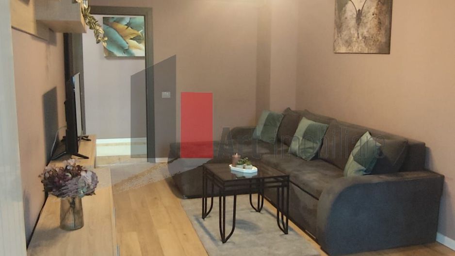 Inchiriere apartament 2 camere Novum Invest Grozavesti-Pet Friendly - Poză 2