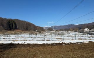 Teren intravilan 4521mp lângă pădure-valea Doftanei -Calea Brasovului - Poză 10