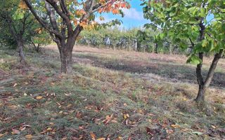 Terenuri intravilane în Horlești-Rediu, Iași, zone rezidențiale - Poză 1