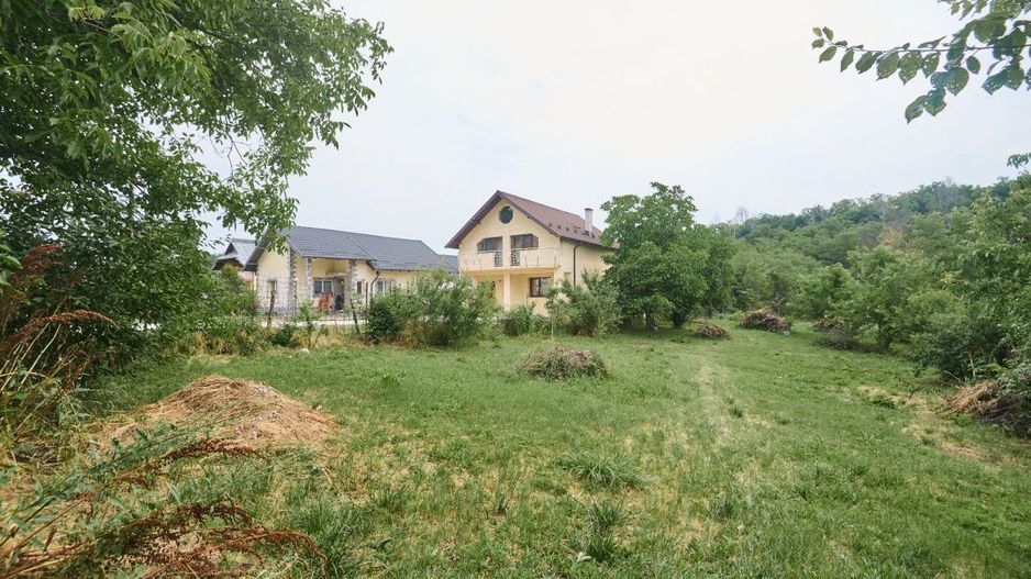 Teren 2240 mp intravilan + casa batraneasca Hintesti-Basangesti - Poză 5