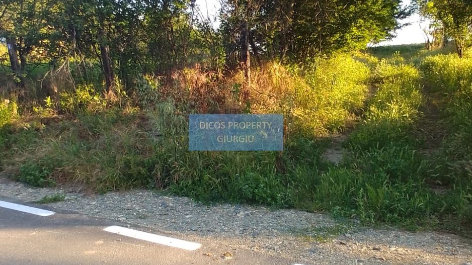 Teren intravilan 2.500 mp – Vieru, Giurgiu - Poză 3