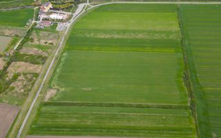 Teren extravilan de 22500mp Zona Ineu - Poză 9