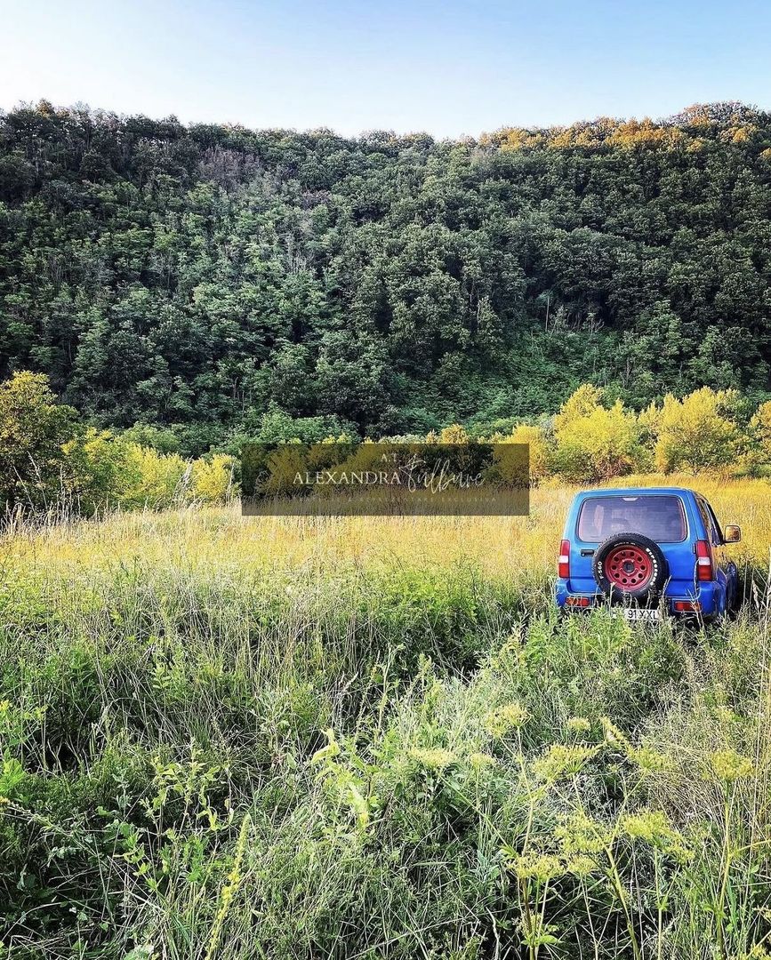 Casă la gri + teren 16.418 mp | Potențial dezvoltare turistică | PUZ - Poză 52