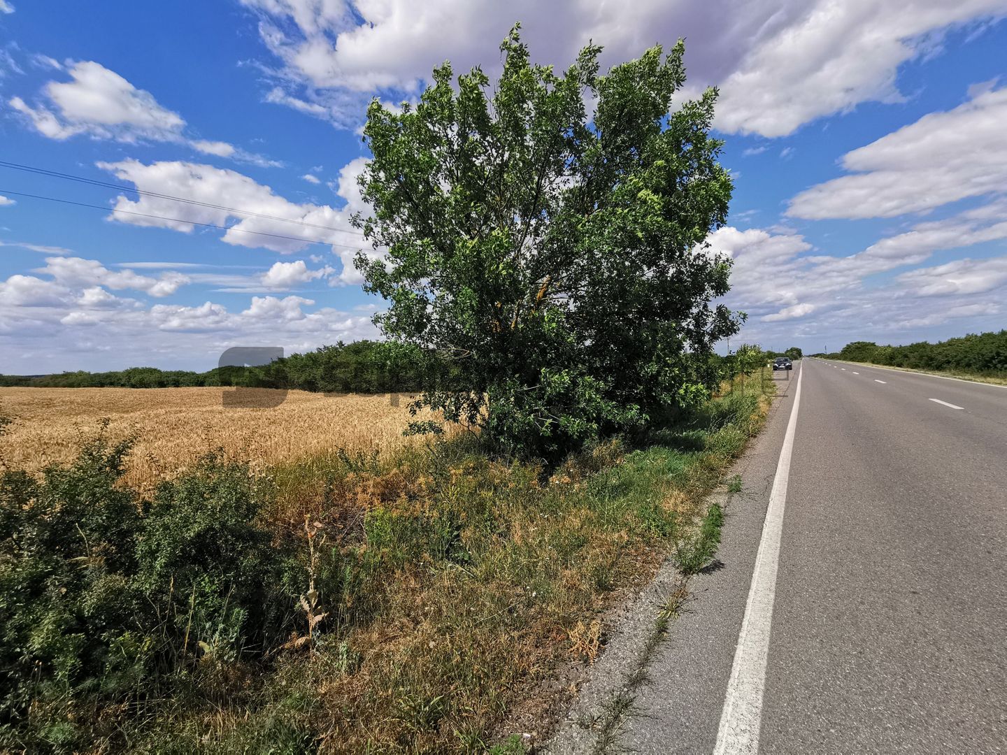 De vânzare teren extravilan, 11,600 mp, Salonta - Poză 5