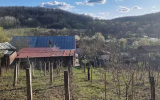 Casă P+M cu 1.558 mp teren, livadă și garaj | Barza, Gorj Comision 0%  - Poză 18