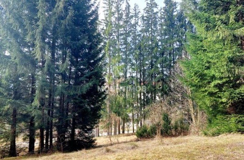 Teren intravilan în Poiana Brașov 1404 mp, str. Poiana Ruia - Poză 6