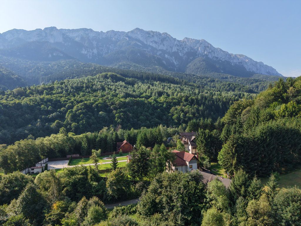 Vila de vanzare Plaiul Foii - ocazie unica! - Poză 6