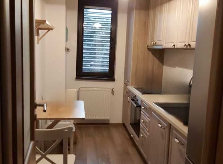 Apartamant Domenii/1 Mai - Poză 4