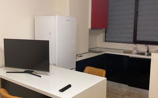 Garsoniera Copou Parcul Expozitiei Exclusive Residence - Poză 5
