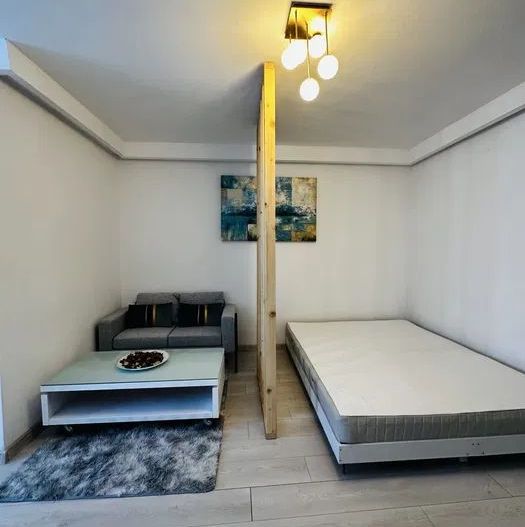 Garsonieră Iancului – bloc reabilitat, PET FRIENDLY,  9 min METROU - Poză 1