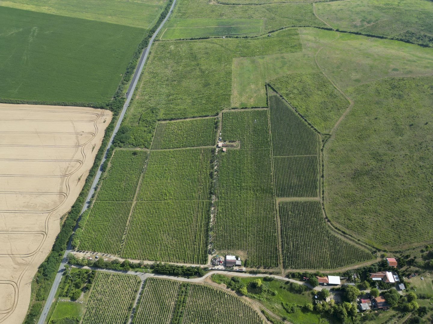 Vie Tradițională „Halta Lupilor” - Poză 37