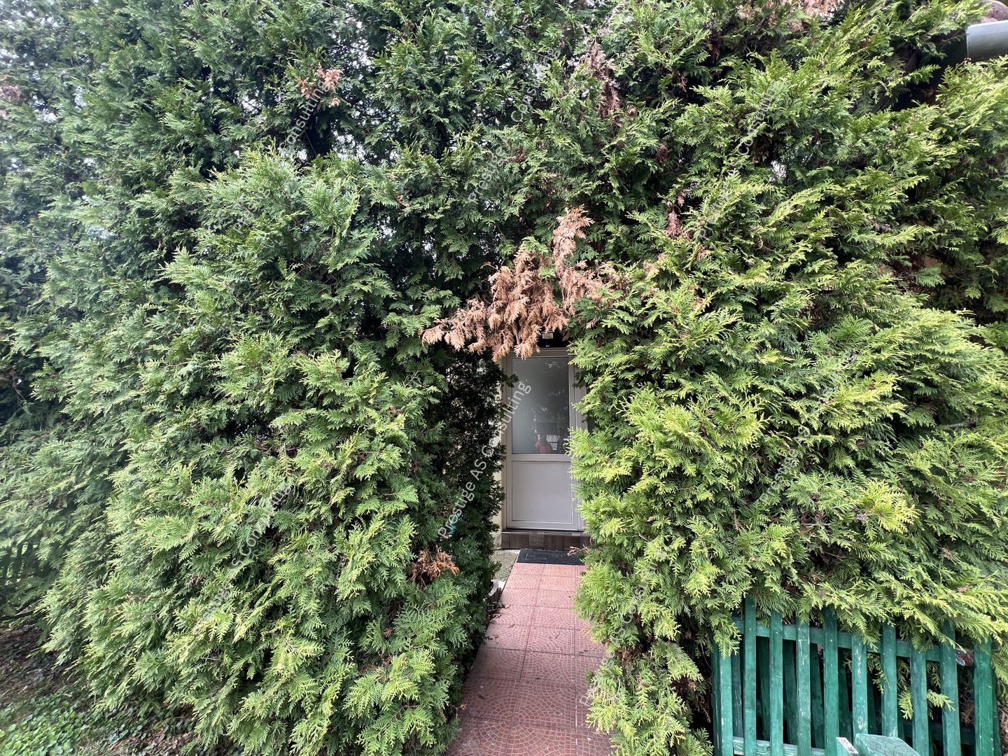 Vila Individuala 6 Camere+Garaj | 500mp Teren | Calea Girocului - Poză 24