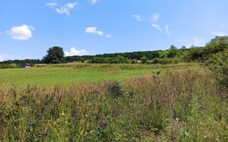Parcele teren 4038 mp - Parcelabil - Zona Valea Stanelor - Poză 6