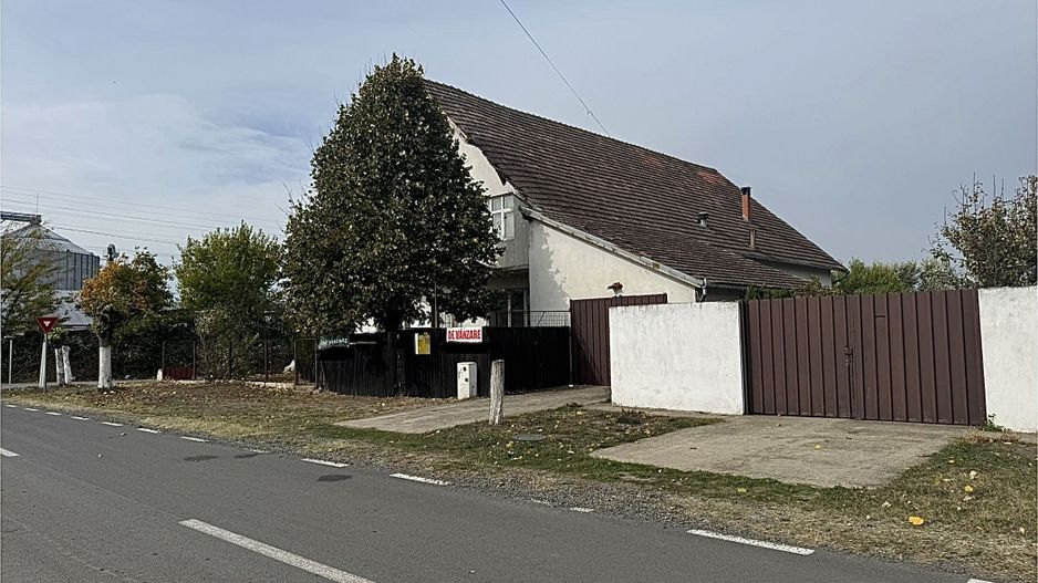 Individuiala Biled P+M,9 Camere,Teren Generos,Toate Utilitatile,2 F.S - Poză 1