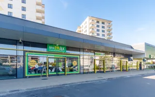 Studio dublu modern de vânzare în nordul capitalei, lângă pădure - Poză 14