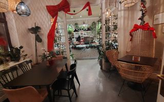 VILA EXCEPTIONALA PARCUL CAROL |  5 STUDIOURI | SPATIU HORECA FUNCTIONAL | - Poză 2