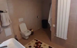 Vila 5 camere, Lebada , finisaje de lux, pret 295000 euro neg - Poză 14