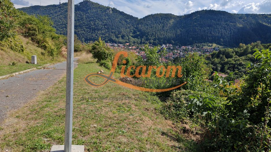 Teren Premium Drumul Poienii (Warthe)-5 Parcele de la 500 mp,270Eur/mp - Poză 3