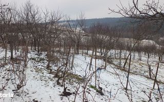 Teren intravilan 704 mp, acces asfaltat, priveliste Padurea Breazu - Poză 13