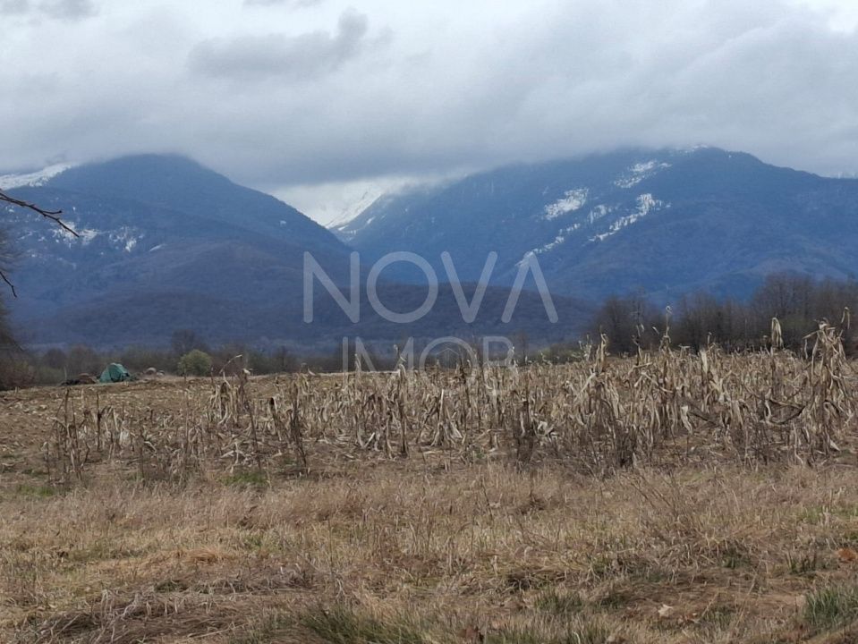 Teren extravilan de vanzare - Arpasul de Sus - Poză 6