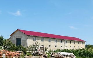 Hala 373 mp + teren in Santaul Mic - Poză 1