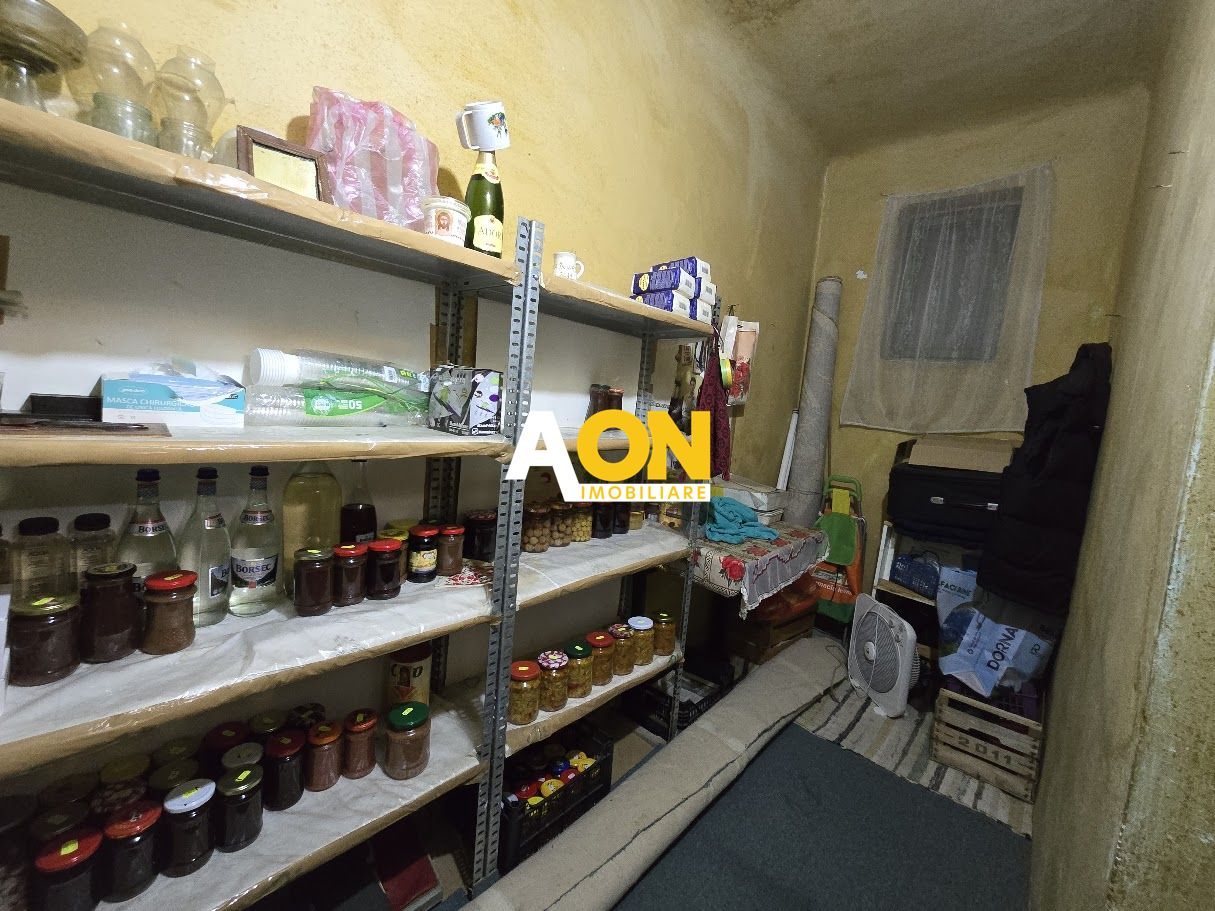 Casa Individuala 4 Camere, Santimbru Sat, 1100mp Teren, 0% Comision - Poză 9