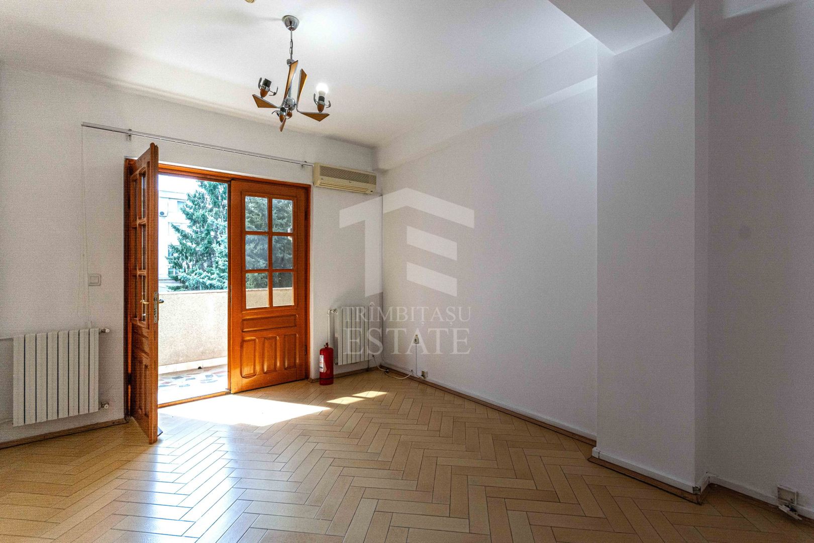 Aviatiei | Smaranda Braescu | Vila reprezentativa de inchiriat - Poză 26