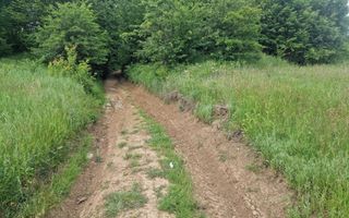 Teren extravilan str Balotesti! - Poză 4