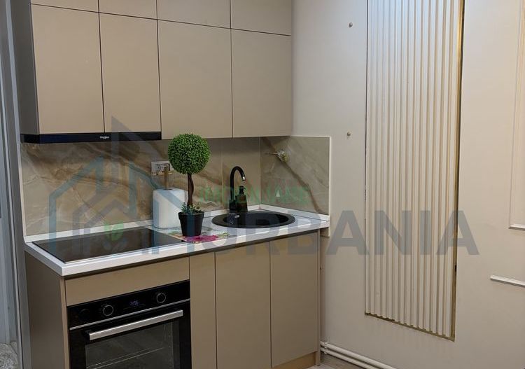 Casă parter, 38 mp utili, 2 camere, zona Alexandru cel Bun, de închiriat - Poză 2