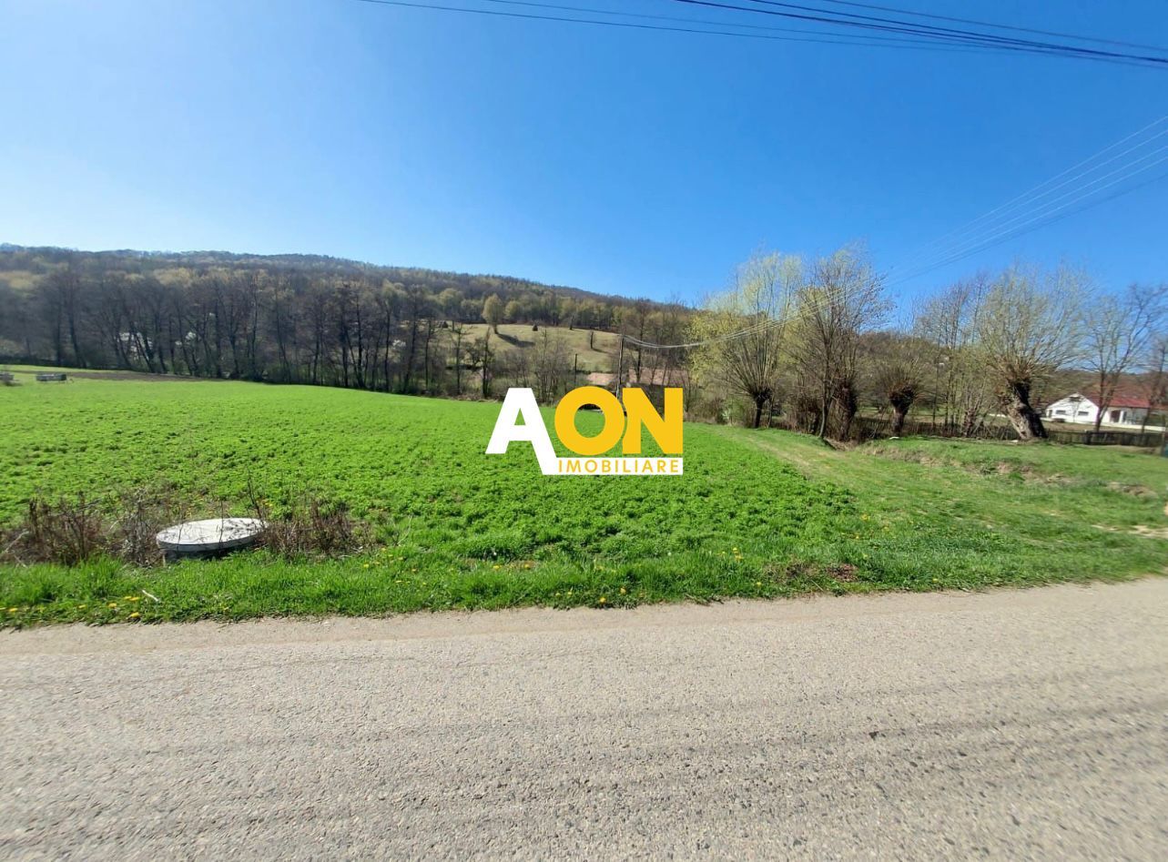 Teren de vanzare, Ampoita, 2300mp - Poză 4