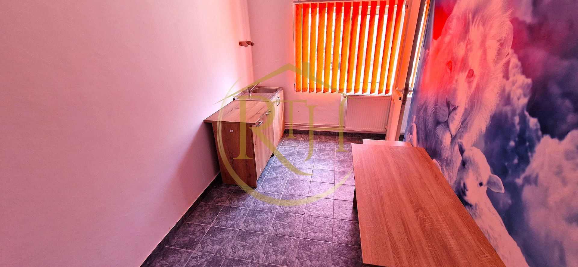 De închiriat SAD în Giroc – ideal pentru orice tip de afacere - Poză 10