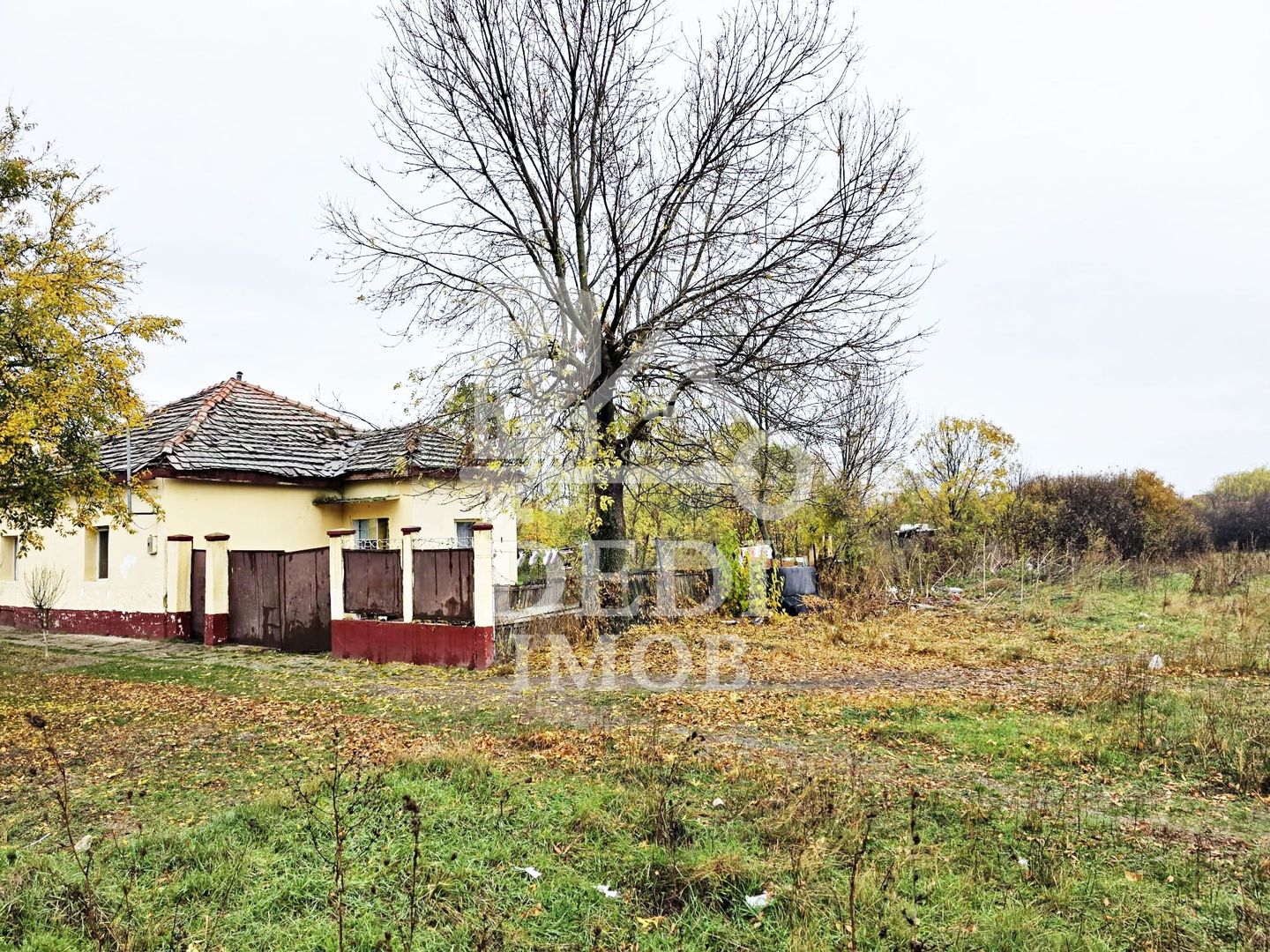 Casa de vanzare cu teren de 1532 mp in satul Berini, Timis - Poză 3