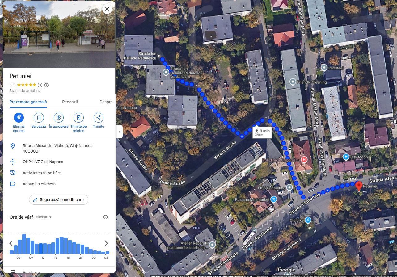 | Apartament cu 2 camere | Decomandat | Cartierul Grigorescu | Zona linistita | - Poză 13