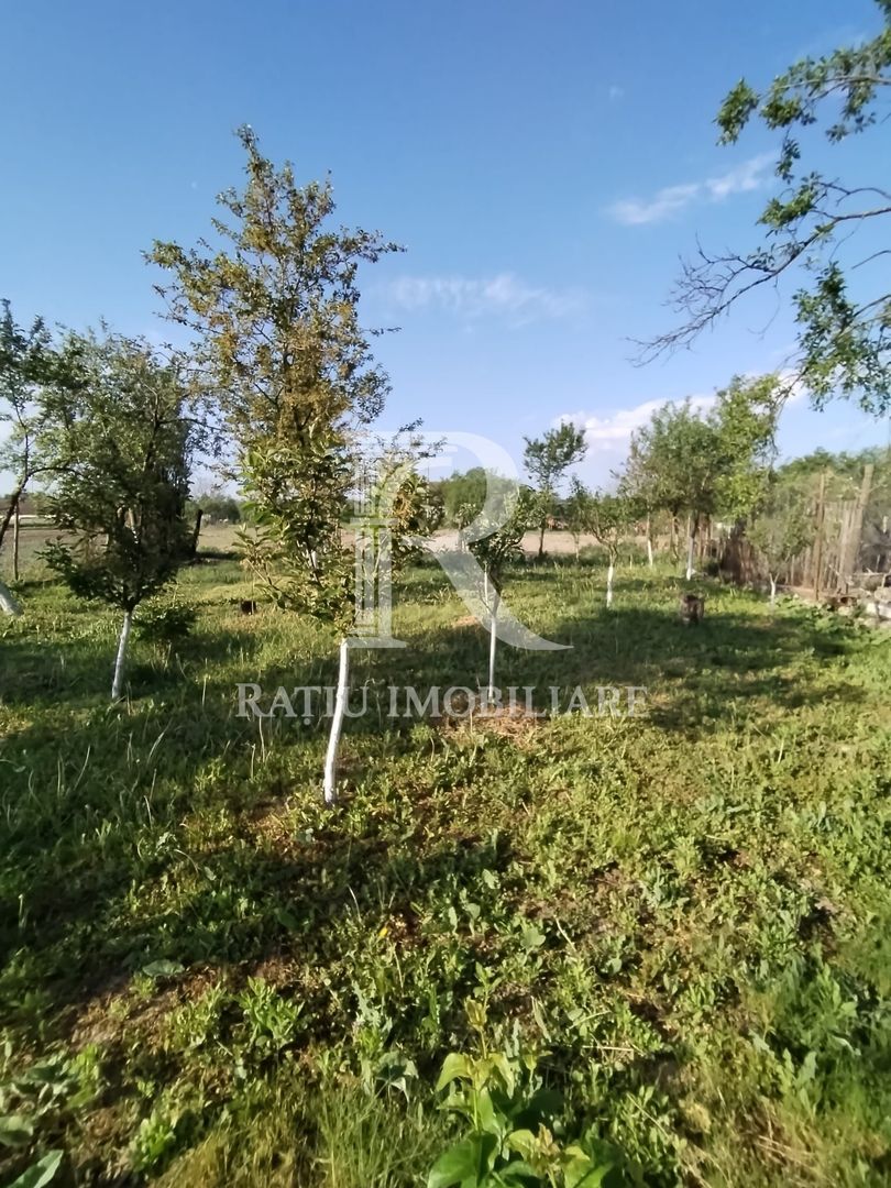 Casa cu 3 camere | Picleu | Bihor - Poză 14
