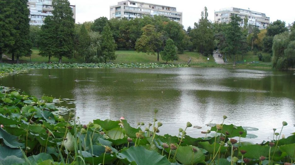 De inchiriat. Apartament 3 camere Pacul Circului cu vedere la parc - Poză 3